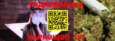spice Краснокаменск