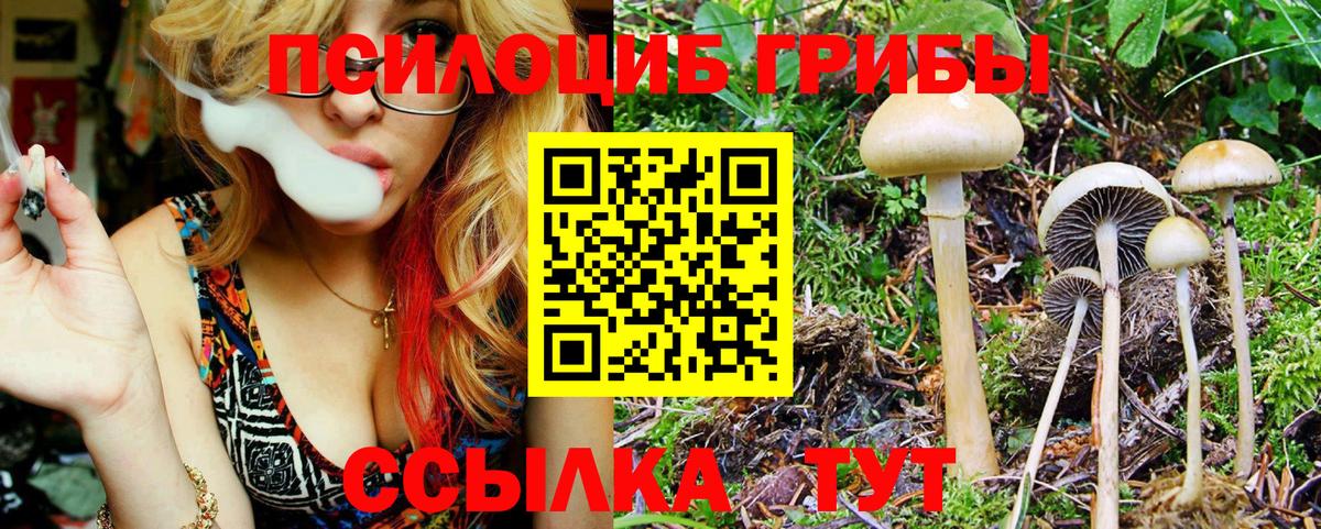 Галлюциногенные грибы Psilocybe  Вход с VPN  где продают   Балашов 