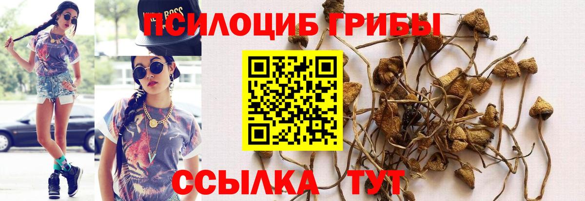 Псилоцибиновые грибы MAGIC MUSHROOMS Балашов